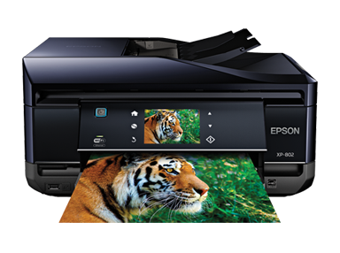 Epson Expression XP-802 Driver